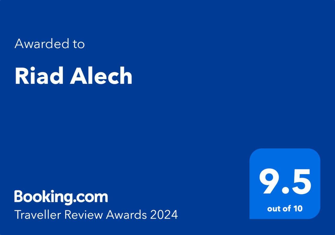 Riad Alech الصويرة المظهر الخارجي الصورة